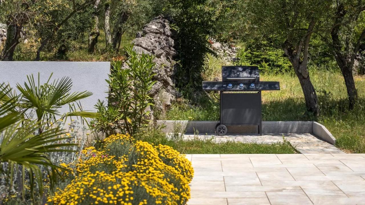 Luxury Subventus Villa Bajčići